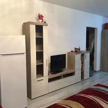 Apt Parcul Central 아파트 *